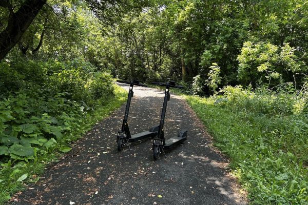 WhatsApp Image 2024-07-25 at 23.07.56_4ad1e93e